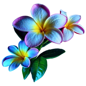 Plumeria Icon PNG 52
