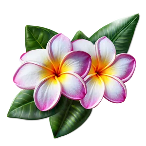 Plumeria Vector PNG Ewg18 PNG