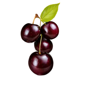 Plump Black Cherry PNG Eln3