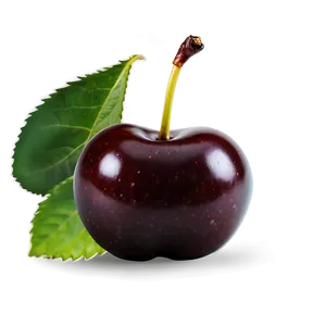 Plump Black Cherry PNG Gkg