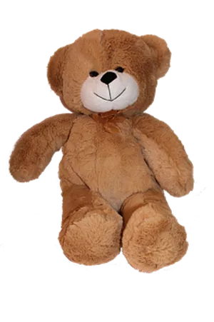 Plush Teddy Bear Black Background