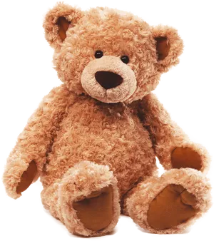 Plush Teddy Bear Isolated PNG image