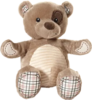 Plush Teddy Bear Toy.png PNG