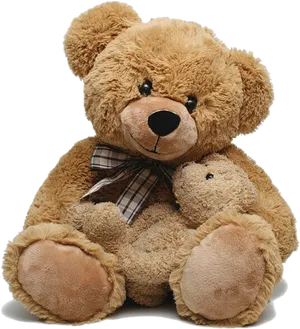 Plush Teddy Bears Together PNG image