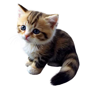 Plushy Kitten Png Pqs35 PNG image