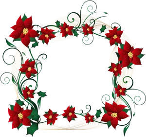 Poinsettia Floral Frame Design PNG image
