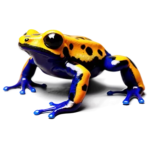 Poison Dart Frog Clipart PNG 25 PNG