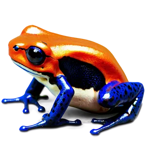 Poison Dart Frog Clipart PNG 3 PNG