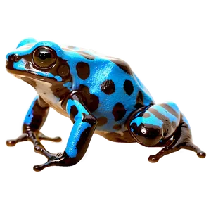 Poison Dart Frog PNG 25