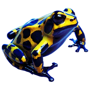 Poison Dart Frog PNG Ant
