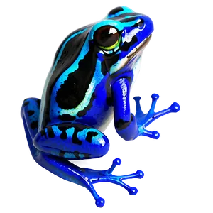 Poison Dart Frog PNG Fuu