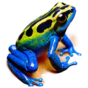 Poison Dart Frog Species PNG 74