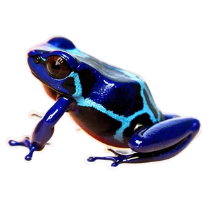 Poison Dart Frog Survival Strategy PNG 06132024 PNG