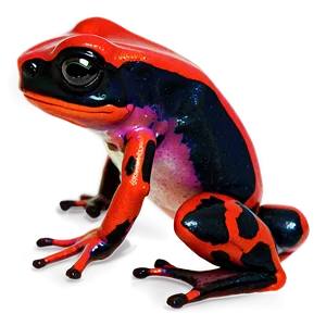 Poison Dart Frog Survival Strategy PNG Cme PNG