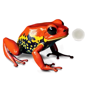Poison Dart Frog Warning Colors PNG Tan51 PNG