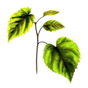 Poison Ivy Leaves Png 06272024 PNG image