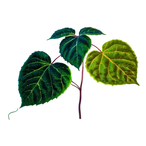 Poison Ivy Leaves Png 06272024 PNG image