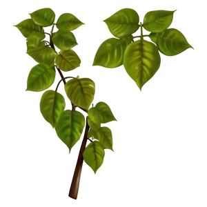 Poison Ivy Leaves Png 59 PNG image