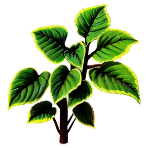 Poison Ivy Plant Png 06272024 PNG image