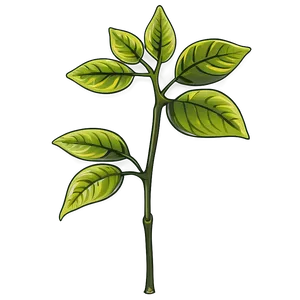 Poison Ivy Plant Png Jxv23 PNG image