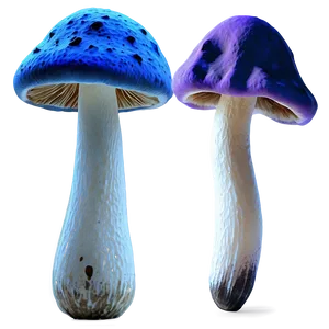 Poisonous Mushrooms Png 81 PNG image