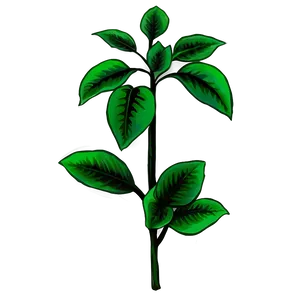 Poisonous Plant PNG Jtf44