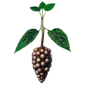Poisonous Plant PNG Rua16