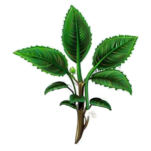 Poisonous Plant PNG Vvg