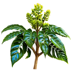Poisonous Plants PNG Eir