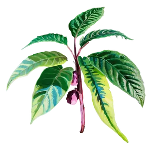 Poisonous Plants PNG Ika