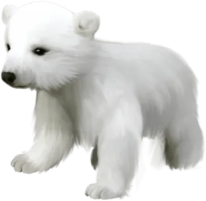 Polar Bear Cub Illustration PNG image