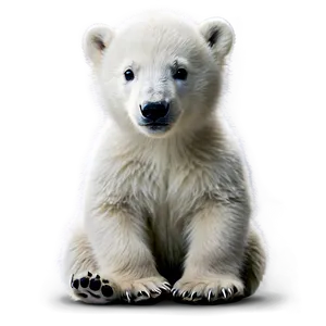 Polar Bear Cub Png 05062024 PNG image