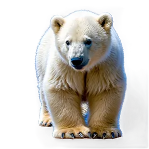 Polar Bear Cub Png 67 PNG image