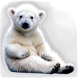 Polar Bear Cub Png Gxq47 PNG image