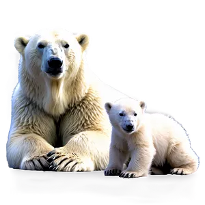 Polar Bear Family Png Hfp PNG image