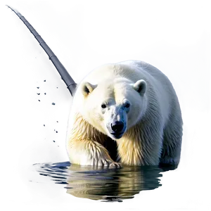 Polar Bear Fishing Png 39 PNG image