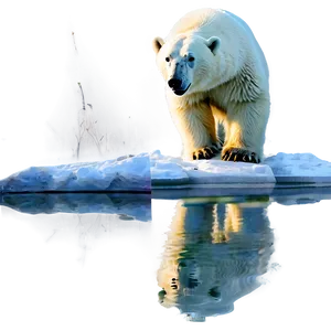 Polar Bear Fishing Png Tgm PNG image