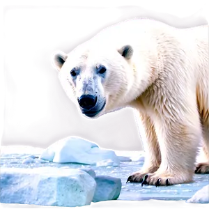 Polar Bear Habitat Scene Png 05062024 PNG image