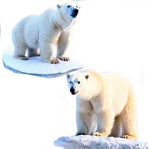 Polar Bear Habitat Scene Png 05062024 PNG image