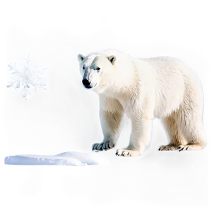 Polar Bear In Arctic PNG 05062024