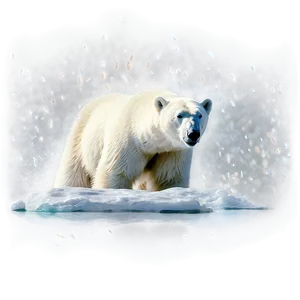 Polar Bear In Blizzard Png Kga PNG image