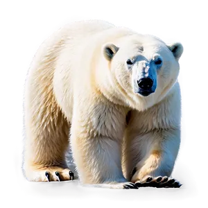 Polar Bear In Blizzard PNG Mra83 PNG