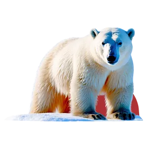 Polar Bear In Snow Png 67 PNG image