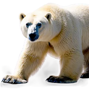 Polar Bear North Pole Habitat PNG 06122024