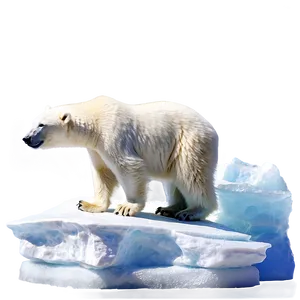 Polar Bear On Iceberg Png 05062024 PNG image