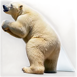 Polar Bear Profile Png Yfl95 PNG image