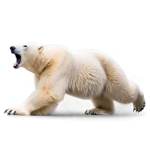Polar Bear Roaring Png Kid PNG image