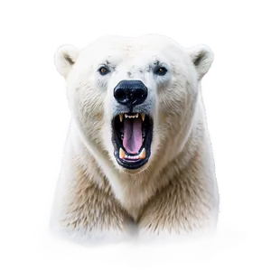 Polar Bear Roaring Png Rpx73 PNG image