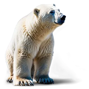 Polar Bear Side View PNG Ttw1 PNG