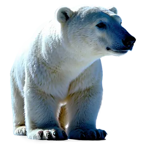 Polar Bear Silhouette Png 05062024 PNG image